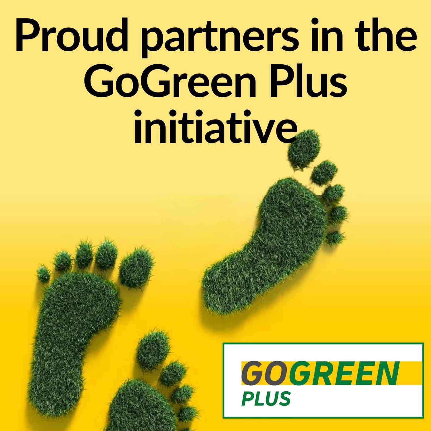Green Company — BuyFactory.Direct Sustainability Commitment