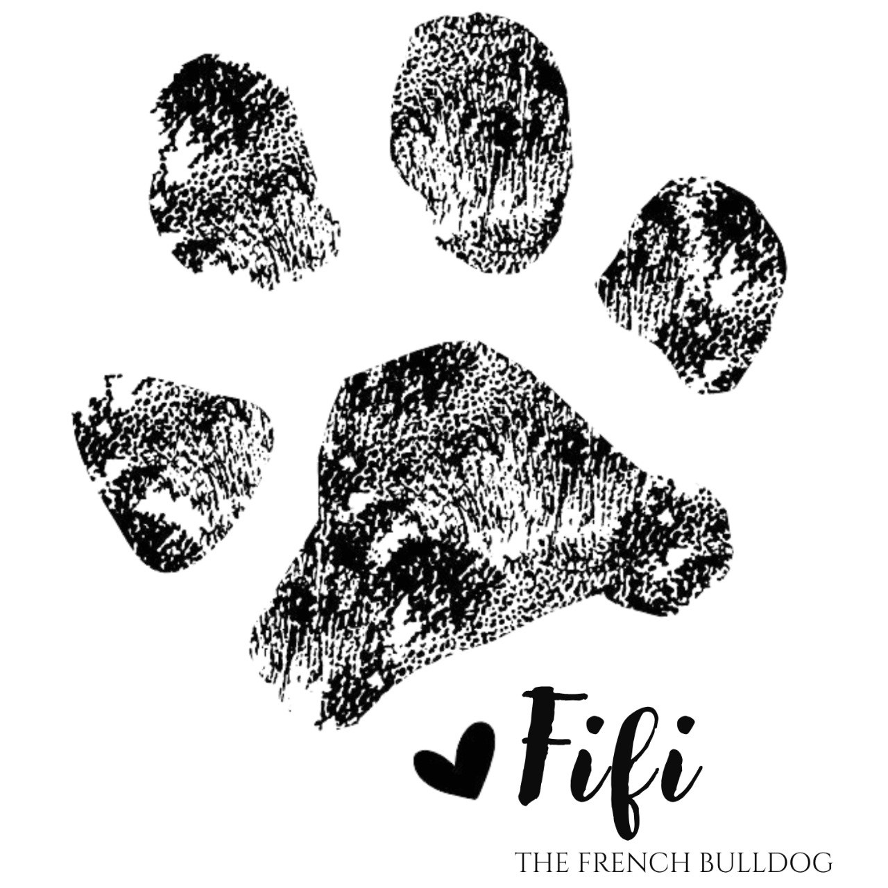 Fifi the French Bulldog